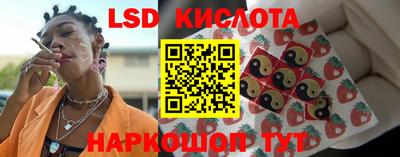 дмт Ярославль