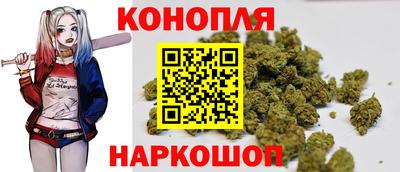 дмт Ярославль