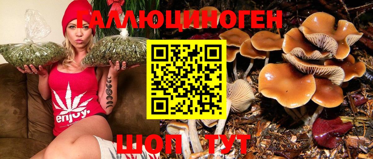 Узловая  Галлюциногенные грибы MAGIC MUSHROOMS  Галлюциногенные грибы Psilocybe  Вход с VPN 