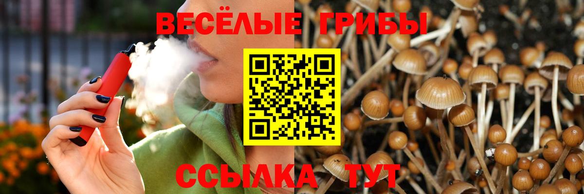 Галлюциногенные грибы мицелий Узловая